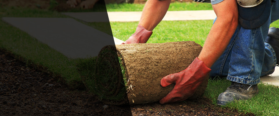 Greenfield Landscapers